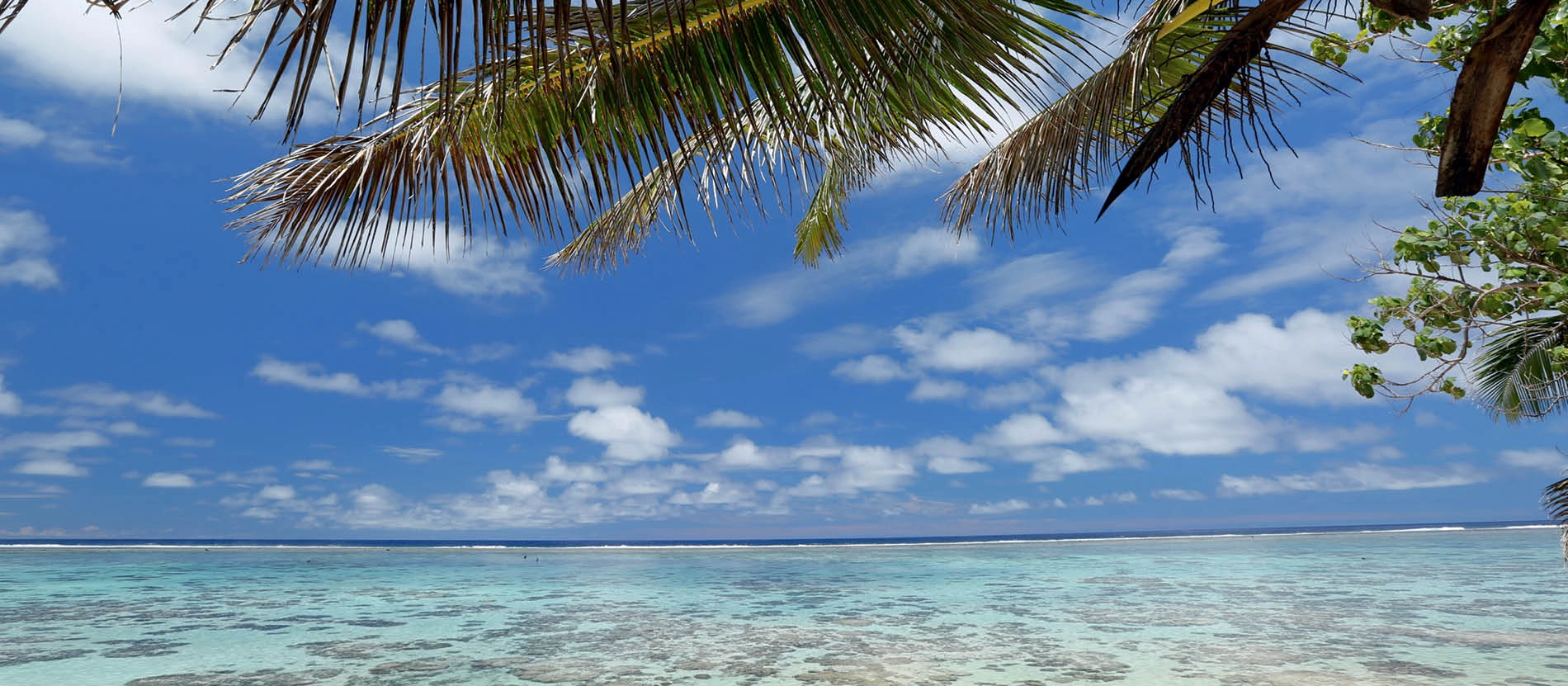 banner_1900x831_rarotonga