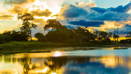 Brasil - Pantanal, fire dagers tilleggspakke fra Cuiabá 