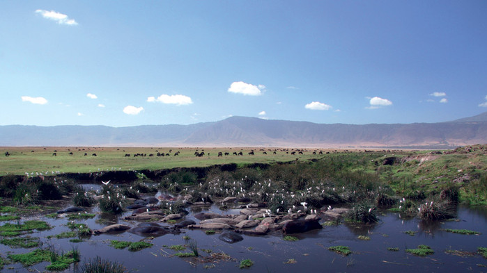 Den lille sjøen i Ngorongorokraterets bunn.